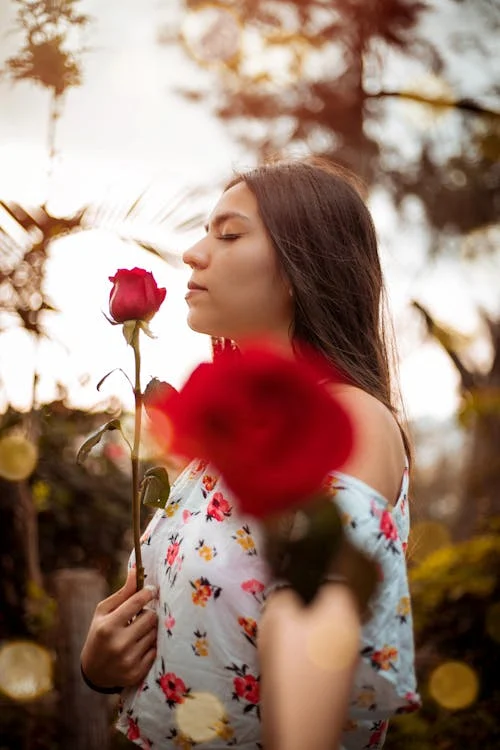 Rose dresses