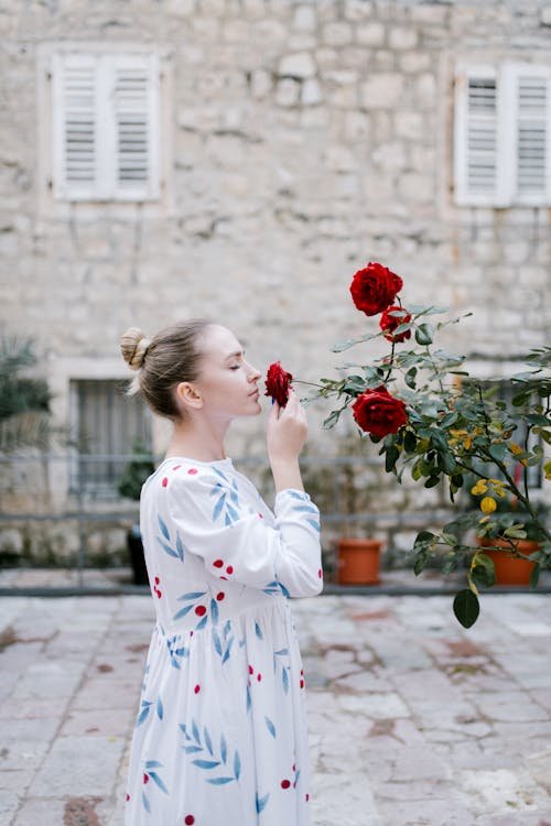 Rose dresses